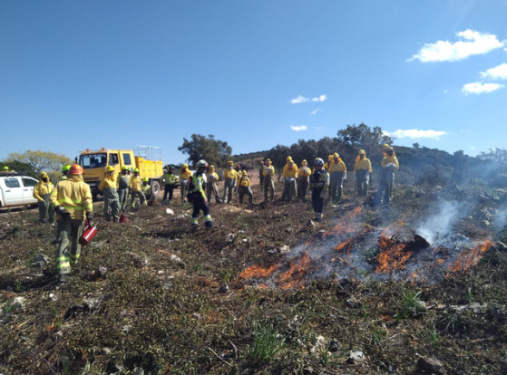 Los alumnos y alumnas visitan el monte de utilidad pública de viso del marqués en una jornada de fuego prescrito del plan anual de quemas de INFOCAM